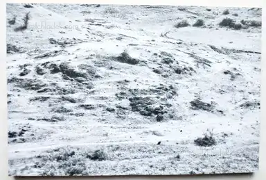 Sample page 14 for book "Debus, Julia – Julia Debus - Konsens" Sample page 14 for book "Debus, Julia – Julia Debus - Konsens"