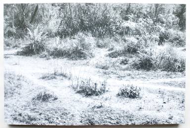 Sample page 8 for book "Debus, Julia – Julia Debus - Konsens" Sample page 8 for book "Debus, Julia – Julia Debus - Konsens"