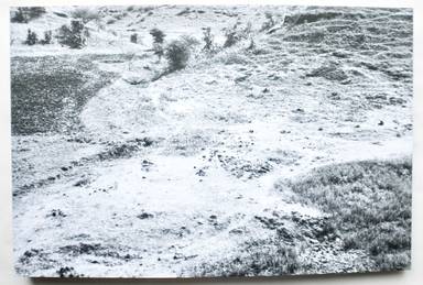 Sample page 1 for book "Debus, Julia – Julia Debus - Konsens" Sample page 1 for book "Debus, Julia – Julia Debus - Konsens"