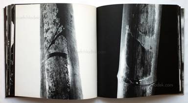 Sample page 19 for book  Shomei Tomatsu – Hiroshima-Nagasaki Document 1961 (東松 照明, 土門拳)
