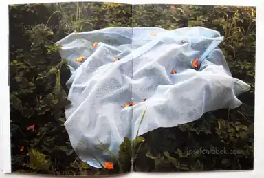 Sample page 2 for book "Vasilyeva, Ekaterina – Ekaterina Vasilyeva - After the Firebird" Sample page 2 for book "Vasilyeva, Ekaterina – Ekaterina Vasilyeva - After the Firebird"