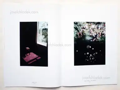 Sample page 7 for book "Lichtenegger, Maria & Harald Wawrzyniak (Eds.) – Maria Lichtenegger & Harald Wawrzyniak (Eds.) - rûm magazine Issue°II" Sample page 7 for book "Lichtenegger, Maria & Harald Wawrzyniak (Eds.) – Maria Lichtenegger & Harald Wawrzyniak (Eds.) - rûm magazine Issue°II"