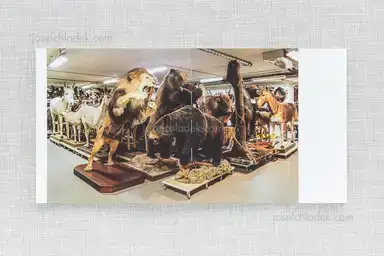 Sample page 18 for book "Pichler, Klaus – Klaus Pichler - Skeletons in the Closet" Sample page 18 for book "Pichler, Klaus – Klaus Pichler - Skeletons in the Closet"