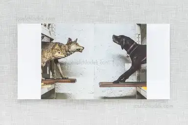 Sample page 17 for book "Pichler, Klaus – Klaus Pichler - Skeletons in the Closet" Sample page 17 for book "Pichler, Klaus – Klaus Pichler - Skeletons in the Closet"