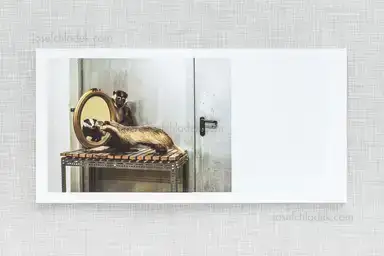 Sample page 13 for book "Pichler, Klaus – Klaus Pichler - Skeletons in the Closet" Sample page 13 for book "Pichler, Klaus – Klaus Pichler - Skeletons in the Closet"