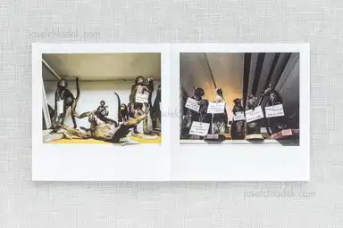 Sample page 12 for book "Pichler, Klaus – Klaus Pichler - Skeletons in the Closet" Sample page 12 for book "Pichler, Klaus – Klaus Pichler - Skeletons in the Closet"