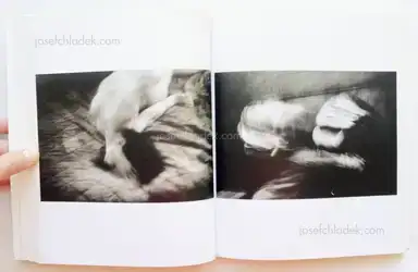 Sample page 8 for book "D'Agata, Antoine – Antoine D'Agata - Insomnia" Sample page 8 for book "D'Agata, Antoine – Antoine D'Agata - Insomnia"