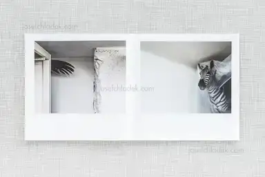 Sample page 8 for book "Pichler, Klaus – Klaus Pichler - Skeletons in the Closet" Sample page 8 for book "Pichler, Klaus – Klaus Pichler - Skeletons in the Closet"