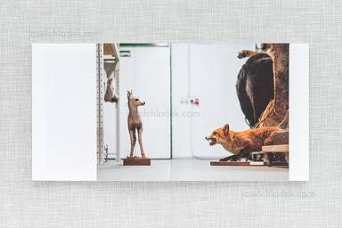 Sample page 6 for book "Pichler, Klaus – Klaus Pichler - Skeletons in the Closet" Sample page 6 for book "Pichler, Klaus – Klaus Pichler - Skeletons in the Closet"