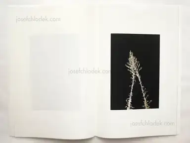 Sample page 4 for book "Hang, Ren – Ren Hang - November" Sample page 4 for book "Hang, Ren – Ren Hang - November"