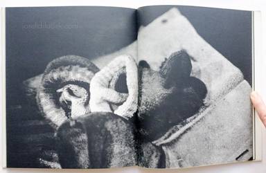 Sample page 7 for book  Tsuguhiro Arakawa &ndash; Shashinshu (新川次丕 写真集)