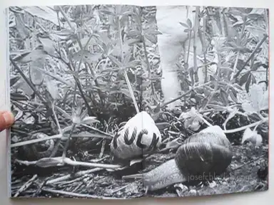 Sample page 1 for book "Solzi, Attilio – Attilio Solzi - Home Video Diary" Sample page 1 for book "Solzi, Attilio – Attilio Solzi - Home Video Diary"