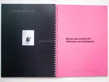 Sample page 6 for book "Ehemann, Sigrid – Sigrid Ehemann - Bruno Is a Celebrity" Sample page 6 for book "Ehemann, Sigrid – Sigrid Ehemann - Bruno Is a Celebrity"