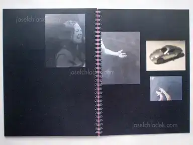 Sample page 3 for book "Ehemann, Sigrid – Sigrid Ehemann - Bruno Is a Celebrity" Sample page 3 for book "Ehemann, Sigrid – Sigrid Ehemann - Bruno Is a Celebrity"