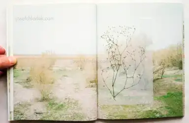 Sample page 14 for book "Baluta, Natalia – Natalia Baluta - Sea I become by degrees" Sample page 14 for book "Baluta, Natalia – Natalia Baluta - Sea I become by degrees"