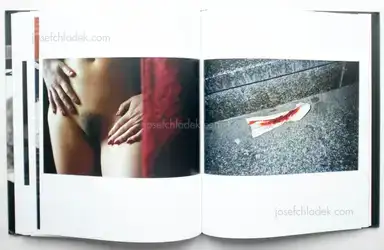 Sample page 5 for book "Clement, Krass – Krass Clement - Berlin Notat" Sample page 5 for book "Clement, Krass – Krass Clement - Berlin Notat"