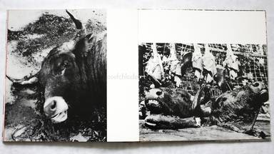 Sample page 6 for book  Lucien Clergue – Toros muertos
