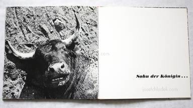 Sample page 7 for book  Lucien Clergue – Toros muertos