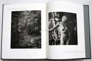 Sample page 1 for book "Leardini, Massimo – Massimo Leardini - Scandinavian" Sample page 1 for book "Leardini, Massimo – Massimo Leardini - Scandinavian"