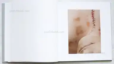 Sample page 7 for book "Budenz, Patrik – Patrik Budenz - Post Mortem" Sample page 7 for book "Budenz, Patrik – Patrik Budenz - Post Mortem"