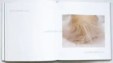 Sample page 5 for book "Budenz, Patrik – Patrik Budenz - Post Mortem" Sample page 5 for book "Budenz, Patrik – Patrik Budenz - Post Mortem"