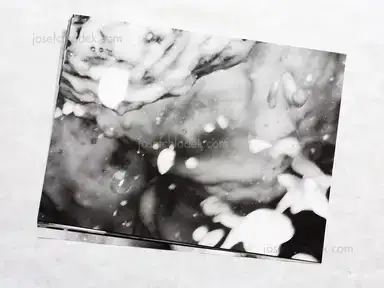 Sample page 5 for book "Soth, Alec – Alec Soth - Foam Party Poster" Sample page 5 for book "Soth, Alec – Alec Soth - Foam Party Poster"