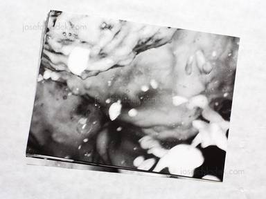 Sample page 5 for book  Alec Soth – Foam Party Poster