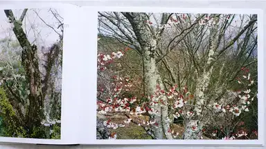 Sample page 6 for book "Janssen, Cuny – Cuny Janssen - Yoshino" Sample page 6 for book "Janssen, Cuny – Cuny Janssen - Yoshino"