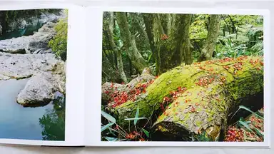 Sample page 5 for book "Janssen, Cuny – Cuny Janssen - Yoshino" Sample page 5 for book "Janssen, Cuny – Cuny Janssen - Yoshino"