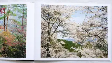 Sample page 4 for book "Janssen, Cuny – Cuny Janssen - Yoshino" Sample page 4 for book "Janssen, Cuny – Cuny Janssen - Yoshino"