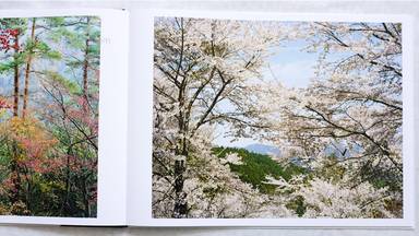 Sample page 4 for book  Cuny Janssen – Yoshino