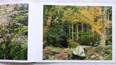 Sample page 3 for book "Janssen, Cuny – Cuny Janssen - Yoshino" Sample page 3 for book "Janssen, Cuny – Cuny Janssen - Yoshino"