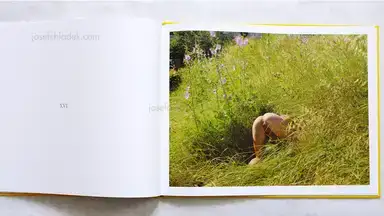 Sample page 2 for book "Soth, Alec – Alec Soth - La Belle Dame Sans Merci" Sample page 2 for book "Soth, Alec – Alec Soth - La Belle Dame Sans Merci"