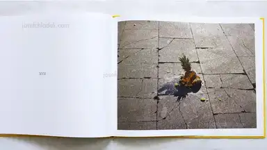 Sample page 1 for book "Soth, Alec – Alec Soth - La Belle Dame Sans Merci" Sample page 1 for book "Soth, Alec – Alec Soth - La Belle Dame Sans Merci"