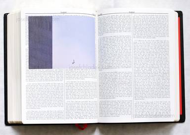 Sample page 5 for book "Broomberg, Adam and Chanarin, Oliver – Adam Broomberg & Oliver Chanarin - Holy Bible" Sample page 5 for book "Broomberg, Adam and Chanarin, Oliver – Adam Broomberg & Oliver Chanarin - Holy Bible"