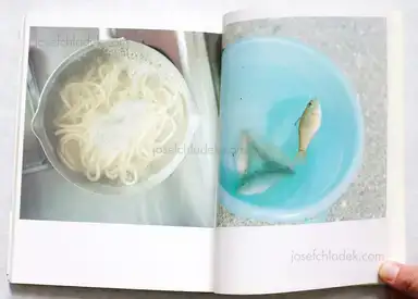 Sample page 1 for book "Kawauchi, Rinko – Rinko Kawauchi - Utatane (川内 倫子 うたたね)" Sample page 1 for book "Kawauchi, Rinko – Rinko Kawauchi - Utatane (川内 倫子 うたたね)"