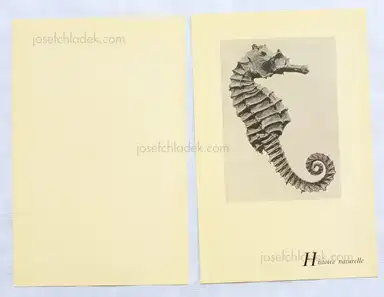 Sample page 5 for book "Ray, Man – Man Ray - Photographie n'est pas L'Art (2009 reprint)" Sample page 5 for book "Ray, Man – Man Ray - Photographie n'est pas L'Art (2009 reprint)"