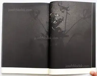 Sample page 1 for book "Nomura, Sakiko – Sakiko Nomura - Kuroyami" Sample page 1 for book "Nomura, Sakiko – Sakiko Nomura - Kuroyami"