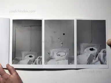 Sample page 8 for book "Biringer, Frank – Frank Biringer - Tupilak" Sample page 8 for book "Biringer, Frank – Frank Biringer - Tupilak"