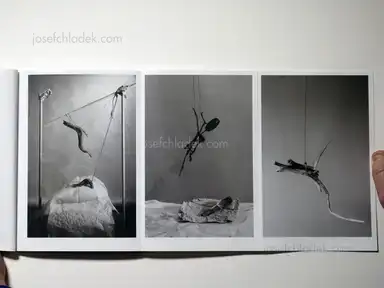 Sample page 4 for book "Biringer, Frank – Frank Biringer - Tupilak" Sample page 4 for book "Biringer, Frank – Frank Biringer - Tupilak"