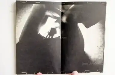 Sample page 9 for book "Tetsuya Ichimura – Tetsuya Ichimura - Salome - 狂気のうたげ 一村 哲也 " Sample page 9 for book "Tetsuya Ichimura – Tetsuya Ichimura - Salome - 狂気のうたげ 一村 哲也 "