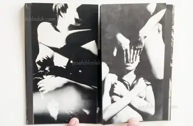 Sample page 6 for book "Tetsuya Ichimura – Tetsuya Ichimura - Salome - 狂気のうたげ 一村 哲也 " Sample page 6 for book "Tetsuya Ichimura – Tetsuya Ichimura - Salome - 狂気のうたげ 一村 哲也 "