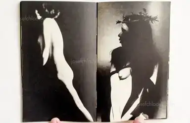 Sample page 4 for book "Tetsuya Ichimura – Tetsuya Ichimura - Salome - 狂気のうたげ 一村 哲也 " Sample page 4 for book "Tetsuya Ichimura – Tetsuya Ichimura - Salome - 狂気のうたげ 一村 哲也 "