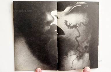 Sample page 3 for book "Tetsuya Ichimura – Tetsuya Ichimura - Salome - 狂気のうたげ 一村 哲也 " Sample page 3 for book "Tetsuya Ichimura – Tetsuya Ichimura - Salome - 狂気のうたげ 一村 哲也 "