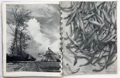 Sample page 2 for book "Arts et Métiers Graphiques – Arts et Métiers Graphiques - Photographie 1936" Sample page 2 for book "Arts et Métiers Graphiques – Arts et Métiers Graphiques - Photographie 1936"