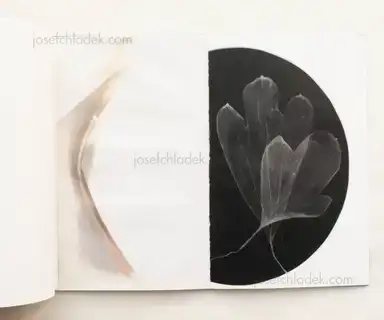 Sample page 2 for book "Diverse – Various - Paper Parts" Sample page 2 for book "Diverse – Various - Paper Parts"