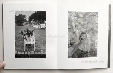 Sample page 4 for book "Bach, Rosanna – Rosanna Bach - Birds of Paradise" Sample page 4 for book "Bach, Rosanna – Rosanna Bach - Birds of Paradise"