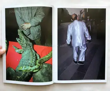 Sample page 15 for book "Li, Feng – Feng Li - White Night" Sample page 15 for book "Li, Feng – Feng Li - White Night"