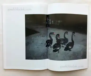 Sample page 3 for book "Li, Feng – Feng Li - White Night" Sample page 3 for book "Li, Feng – Feng Li - White Night"