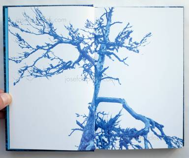 Sample page 1 for book  Morten Andersen – Blå Skog/Blue Forest